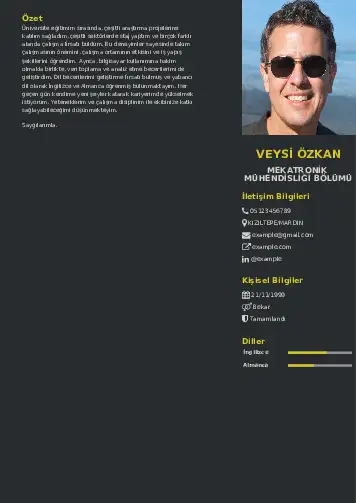 Mekatronik Mühendisliği Cv Örnekleri cv indir